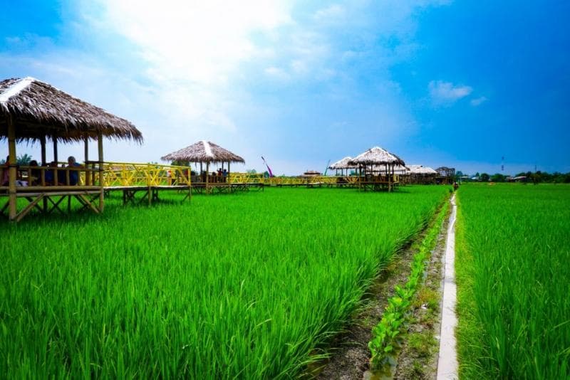 <i>Ukuran kedhok yang paling mudah diukur, karena hanya dilihat dari batas pematang sawah. (Sering Jalan)</i>