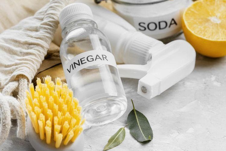 Larutan cuka dapat mengusir lalat. (Freepik)