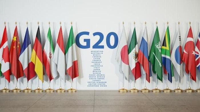 G20 beanggotakan 19 negara dan 1 lembaga Uni Eropa. Sebagian besar telah mengonfirmasi kehadirannya ke KTT G20 di Bali. (Shutterstock)