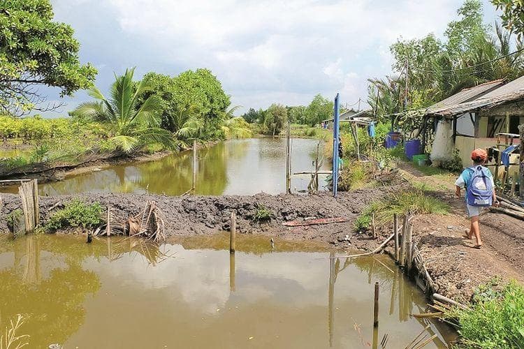 Kondisi Dusun Bondan yang terpencil dan sulit diakses jaringan PLN. (Kompas/Adi Yuwono)