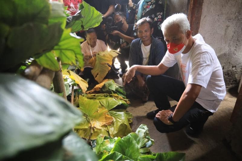 Pemerintah akan melakukan pendampingan agar bisa meningkatkan permintaan dan menembus pasar luar negeri.(Jatengprov)