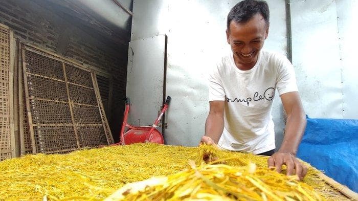 Rokok Daun Talas, Inovasi Terbaru di Dunia Kretek Indonesia