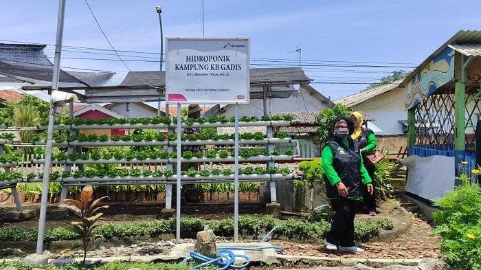 Taman di Kampung KB Gadis Tegalreja, Cilacap. (Tribunbanyumas/Permata Putra Sejati)