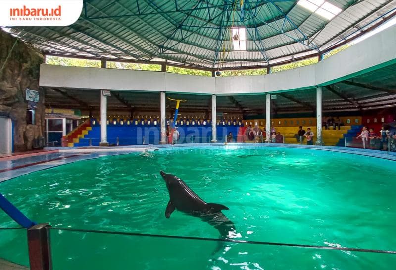 Salah satu wahana unggulan Pantai Cahaya, yakni atraksi lumba-lumba. (Inibaru.id/ Fitroh Nurikhsan)