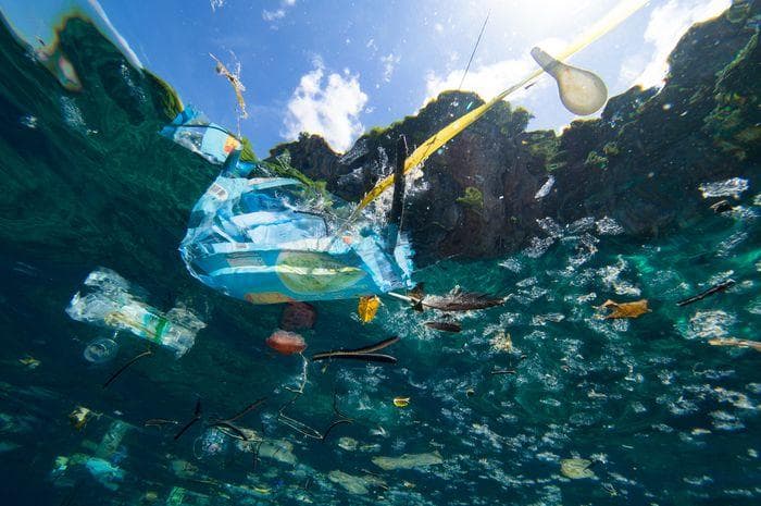 Peneliti Ungkap Putih Telur Efektif Hilangkan Mikroplastik pada Air Laut