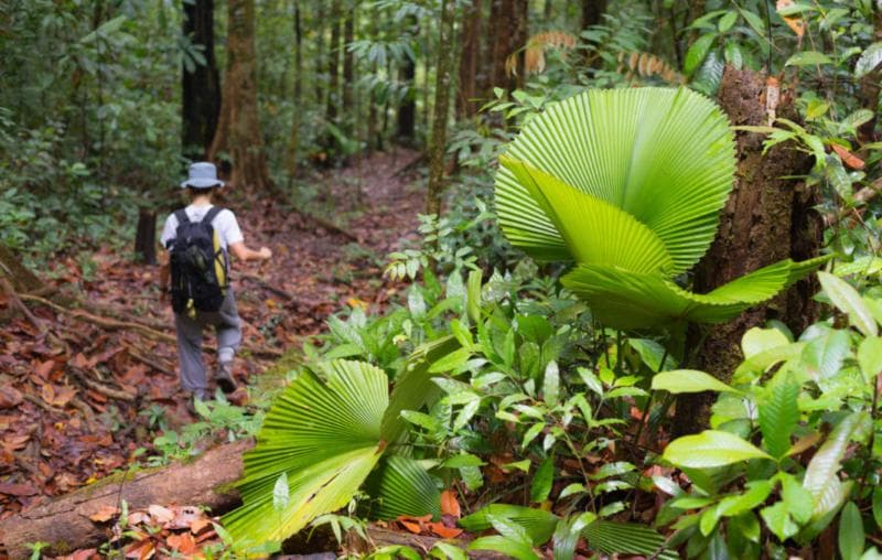 Tiga Penelitian yang Terinspirasi dari Alam