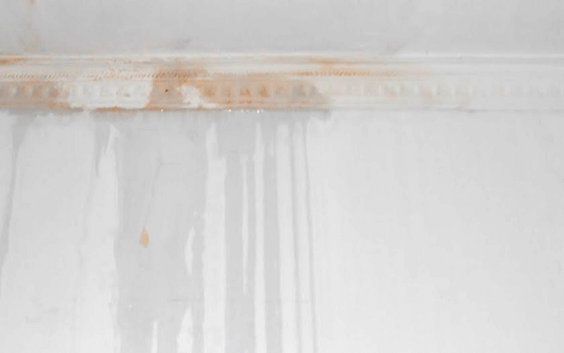 Penyebab dan Tips Mencegah Dinding Rembes di Musim Hujan