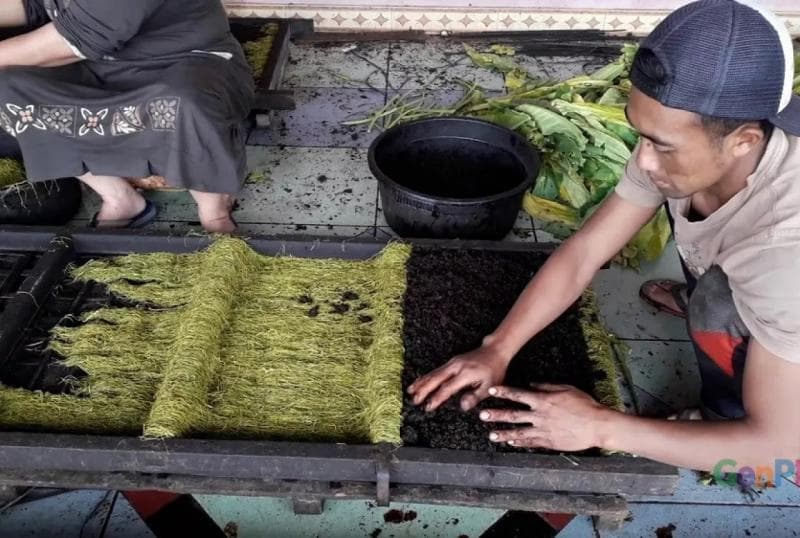 Proses pengolahan tembakau garangan yang istimewa. (GenPi/Erwin)