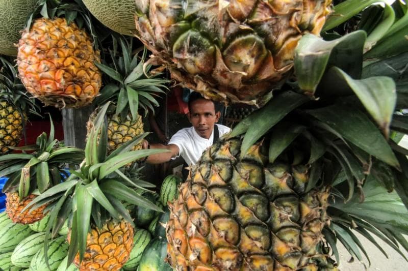 Serunya Belajar Semua tentang Nanas di Kebun Nanas Nusantara Kudus