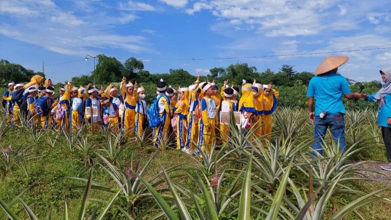Kebun nanas Desa Pedawang Kudus cocok dijadikan tujuan wisata keluarga dan edukasi. (Elshinta/Sutini)
