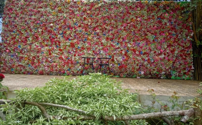 <i>Background</i> bunga serasa foto di studio.&nbsp;(Inibaru.id/ Rafida Azzundhani)