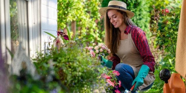 Berkebun bisa menyegarkan pikirna. (Shutterstock via Dream)