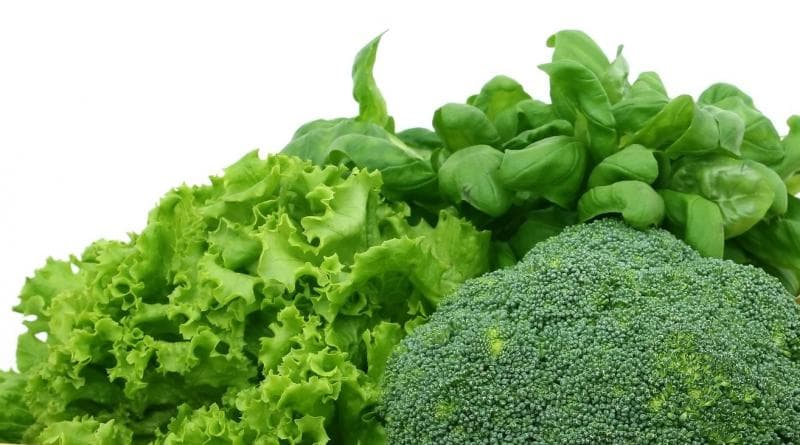 Sayuran Hijau yang Membantu Kita Terhindar dari Penyakit Kardiovaskular