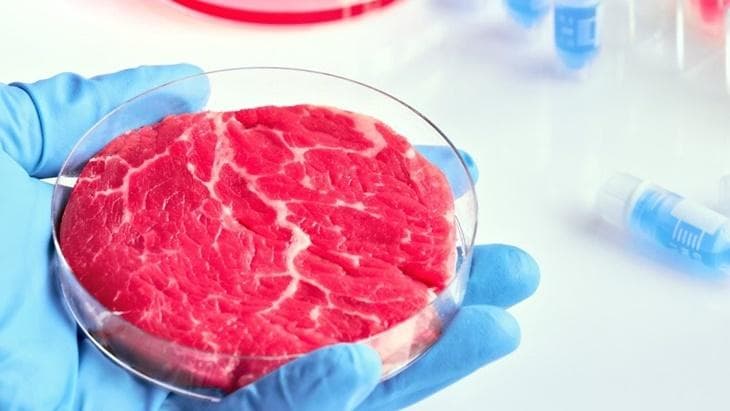 Singapura mengizinkan penggunaan daging buatan laboratorium pada 2020. (123RF/Anna Ivanova via Merah Putih)