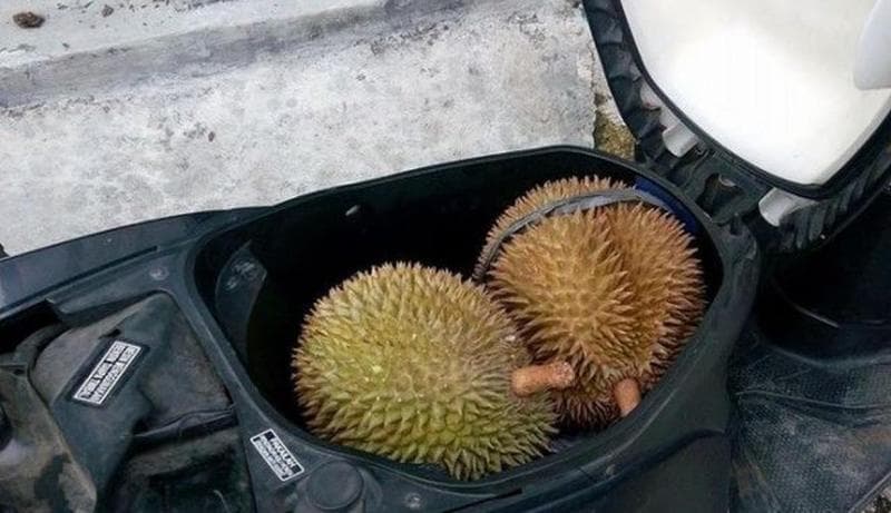 Buah sebaiknya tidak disimpan di bagasi sepeda motor. (Otosia)