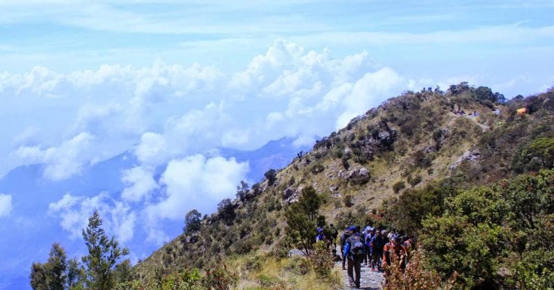 Pendaki Gunung Lawu sering mendengar pasar setan. (Murianews)