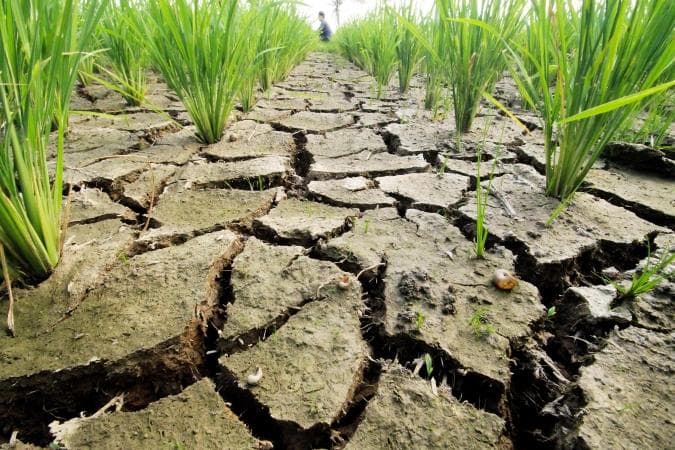 Duh, Sejumlah Wilayah di Jateng Mengalami Kekeringan