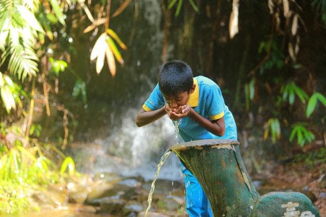 Indonesia memang kaya akan sumber daya alam dan keanekaragaman hayati yang berpotensi menjadi sumber pangan dunia. (Kumparan)