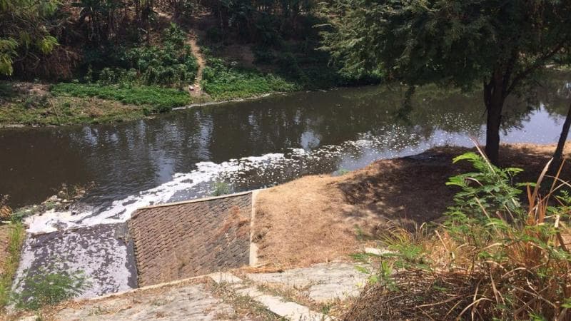 Sungai Bengawan Solo tercemar limbah ciu. (Era/Amelia Putri)