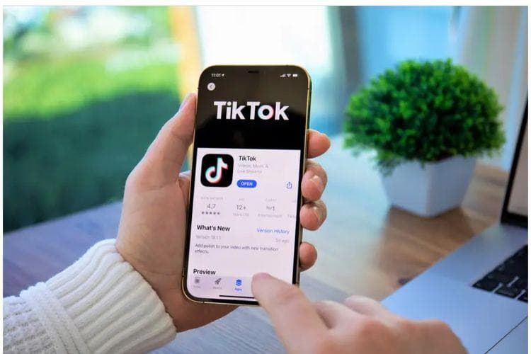 Permainan roleplay tengah viral di Tiktok. (Later)