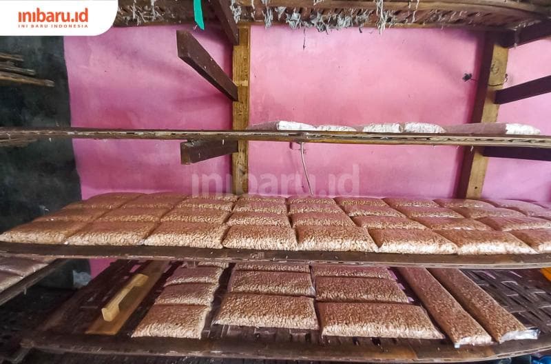 Proses fermentasi kedelai menjadi tempe. (Inibaru.id/ Fitroh Nurikhsan)