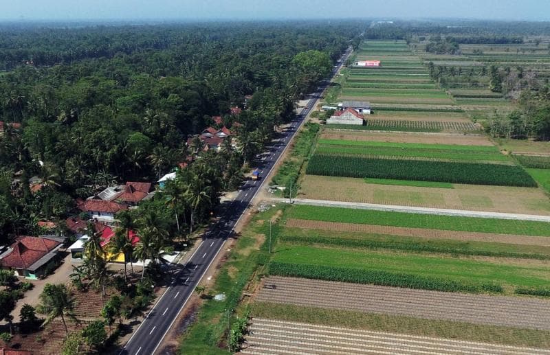 Jalur Pantai Selatan (Pansela) atau Jalan Daendels di Kebumen. (Media Indonesia/Ramdani)