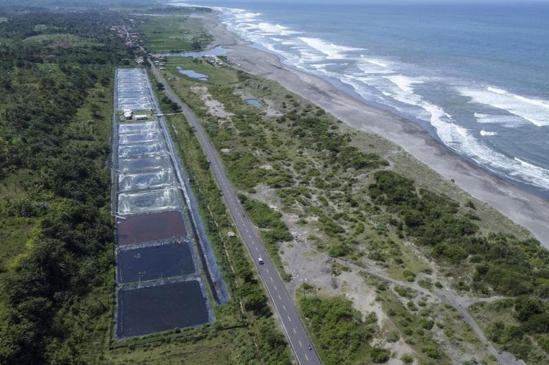 Jalur Pantai Selatan di Cianjur, Jawa Barat. (Media Indonesia/Antara/Adeng Bustomi)