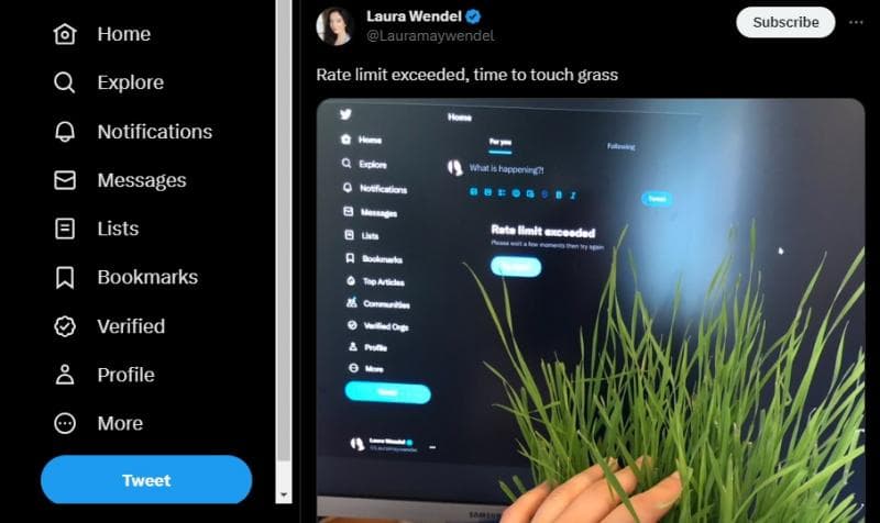 Akun Twitter yang sudah kena Tweet Limit. (Twitter/Lauramaywendel)
