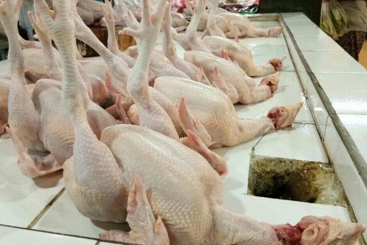 Harga Ayam dan Inflasi yang Naik