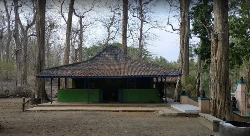 Angkernya Hutan Jati Donoloyo Wonogiri, Warga Nggak Berani Ambil Apapun Di Sana!