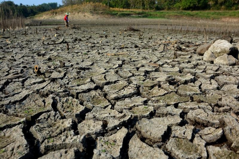 Puncak musim kemarau diperkirakan masih akan terjadi pada Agustus-September 2023. (Medcom/Antara/Syaiful Arif)