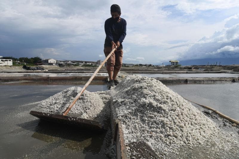 Biaya produksi garam ternyata cukup mahal. (Media Indonesia/Antara)