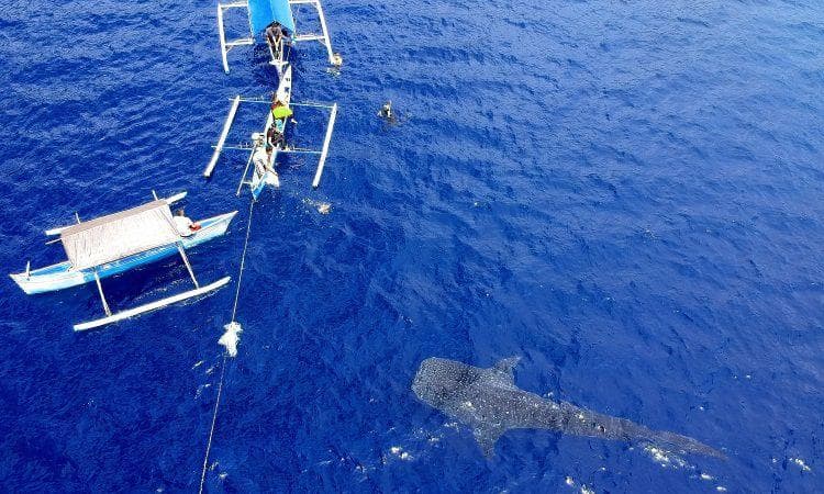 Desa wisata Botubarani di Gorontalo. (via Celebes)