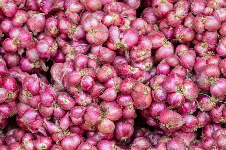 Harga bawang merah mengalami penurunan. (Freepik)