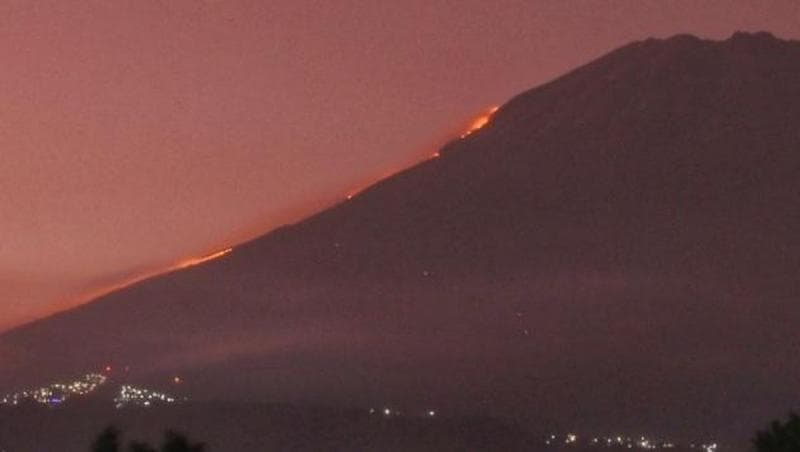 Kebakaran terjadi di ketinggian 2.900 mdpl. (Detik)