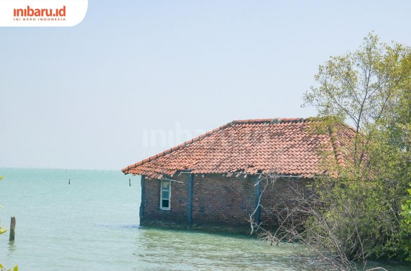 Rumah Siti dan Sayidi tampak belakang yang berbatasan langsung dengan lautan di&nbsp;Dukuh Bedono, Desa Bedono, Kecamatan Sayung, Kabupaten Demak.