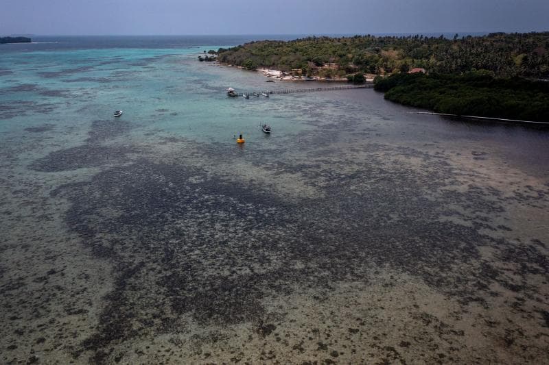 Salah satu perairan laut di Karimunjawa nampak menghitam dipenuhi lumut-lumut. (Foto: Dokumen Greenpeace Indonesia)