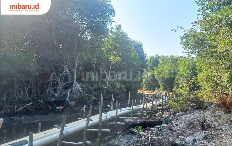 Pipa pembuangan limbah yang disalurkan langsung ke laut terbentang di tengah kawasan hutan mangrove. (Inibaru.id/ Fitroh Nurikhsan)