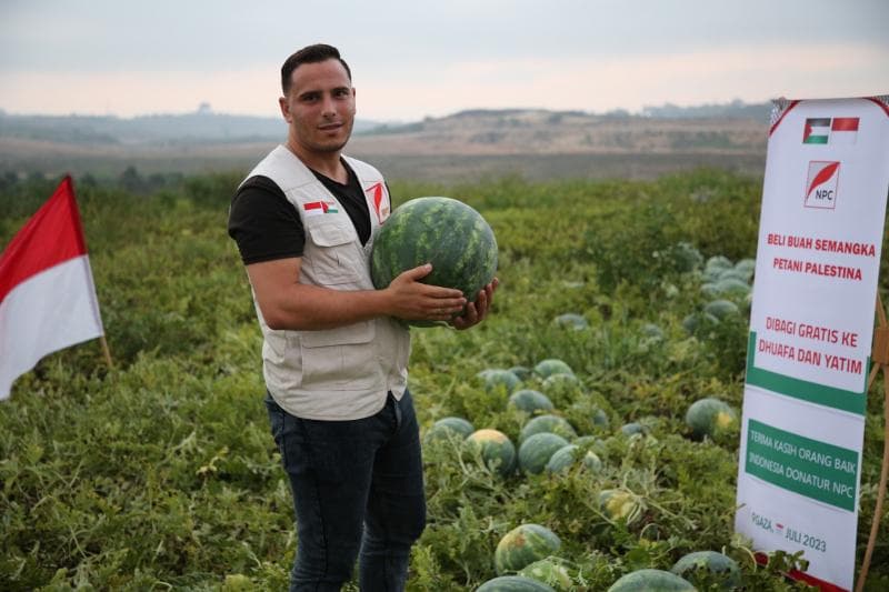 Semangka tumbuh subur di Palestina. (Npc.id)