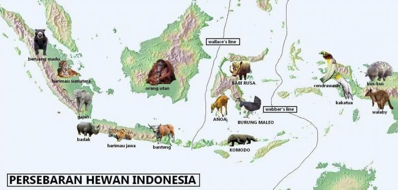 Argoland, Alasan Kenapa Fauna di Indonesia Beragam