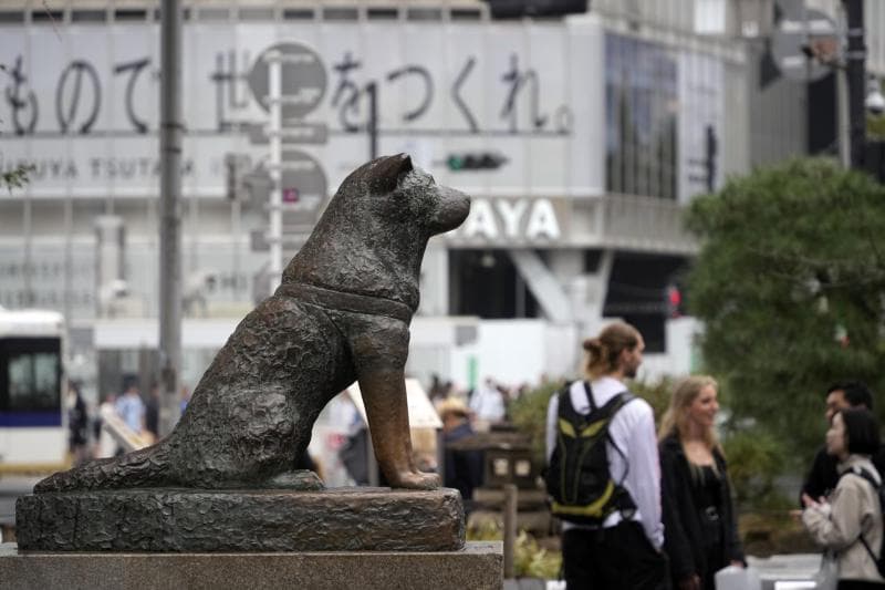 Kemasyhuran Shibuya sebagai pusat wisata di Jepang nggak lepas dari keberadaan patung Hachiko sebagai simbol kesetiaan yang dibangun di dekat stasiun. (EPA/Franck Robichon via&nbsp;EFE)