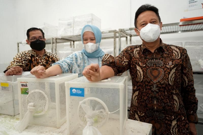 Nyamuk wolbachia di Kota Semarang sudah di-launching sejak bulan Mei 2023 di berbagai daerah.(Kemkes)