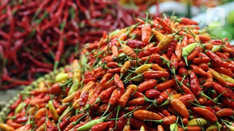 Seperti sudah bisa ditebak harga cabai menjelang hari raya selalu melonjak. (Liputan6)