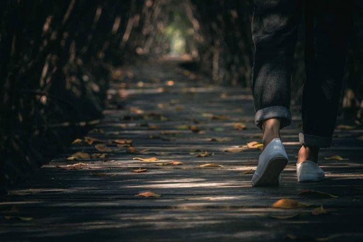 Bisa Sehatkan Mental, Apa itu Komorebi?