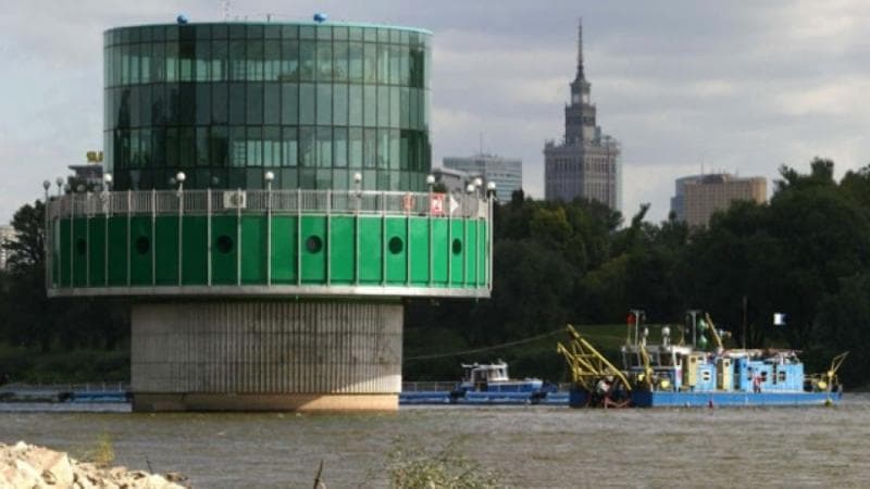 Kerang bakal menutup jika kualitas air berkurang. (makerfairerome)