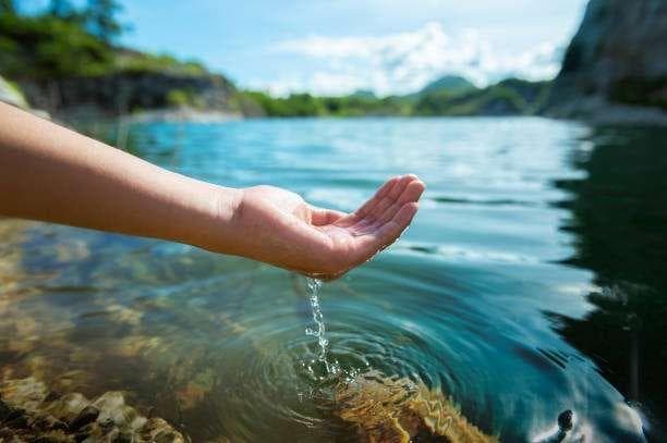 Tanpa pohon berarti tak ada air bersih. (Unsplash)