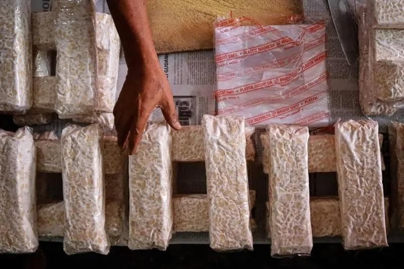 Tips Menyimpan Tempe Agar Lebih Tahan Lama