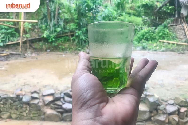 Ramuan herbal dari daun sendok. (Inibaru.id/ Fitroh Nurikhsan)