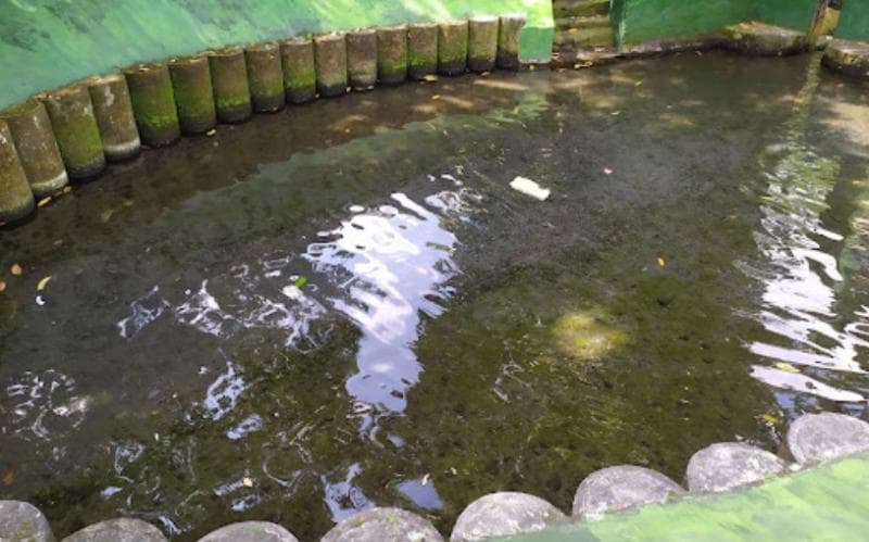 Sendang Kasihan konon muncul setelah Sunan Kalijaga mencancapkan tongkat. (Googleuser/Wawanpixel)