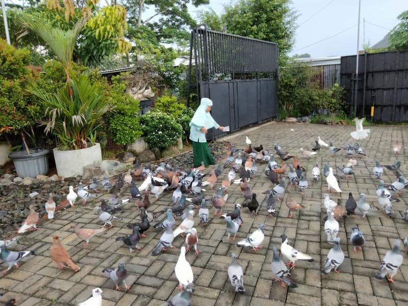 Taman Seribu  Merpati berada di Kudus (Inibaru.id/ Alfia Ainun Nikmah)